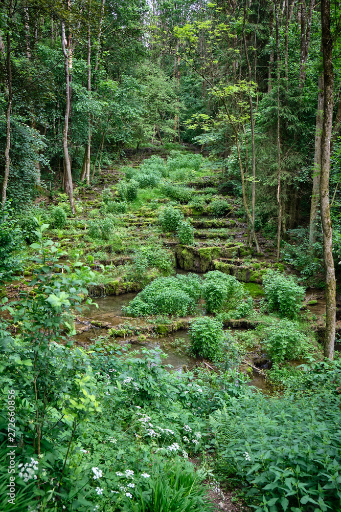 Obraz premium The river Lillach is flowing over the Sinterterrassen (sinter terraces) in an idyllic green forest landscape near the Lillachquelle (Lillach source) near the town Weißenohe, Germany