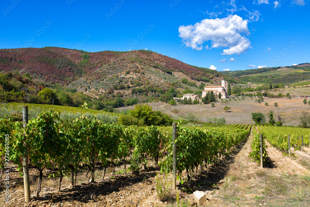 Abbey of Sant'Antimoand vineyards , Montalcino, Tuscany, Italy