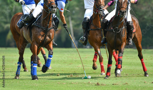 Action Shot Of the Polo Player