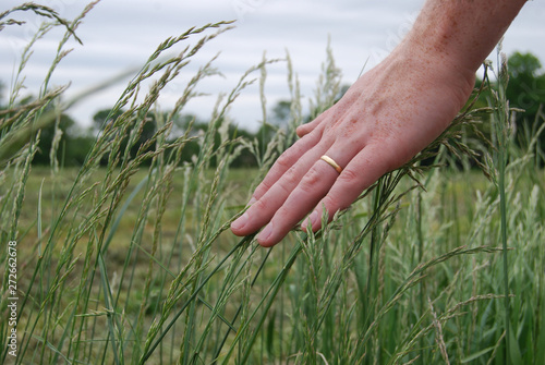 Male hand touching grass © Fiona