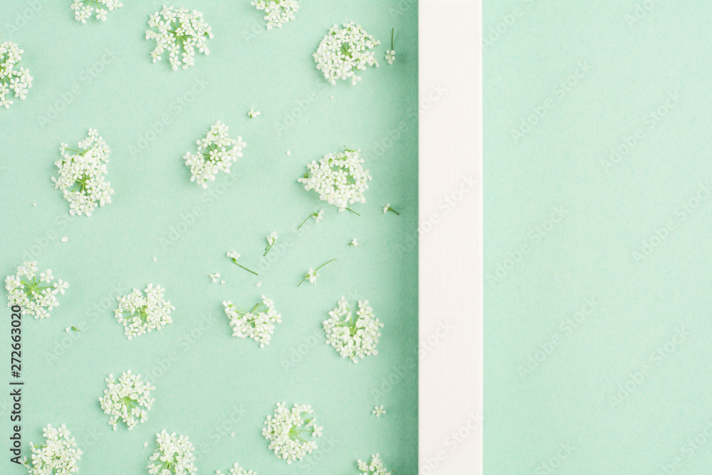 Beautiful white flowers and blank frame on pastel mint background. Soft light color. Top view, copy space.
