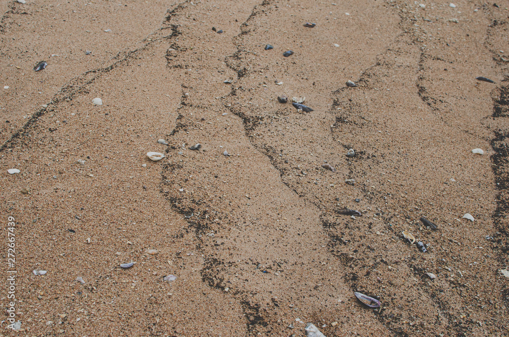 Wet sand in the beach after sea wave gone and there are some small shells and rocks. Wet sand in the beach after sea wave gone and there are some small shells and rocks.