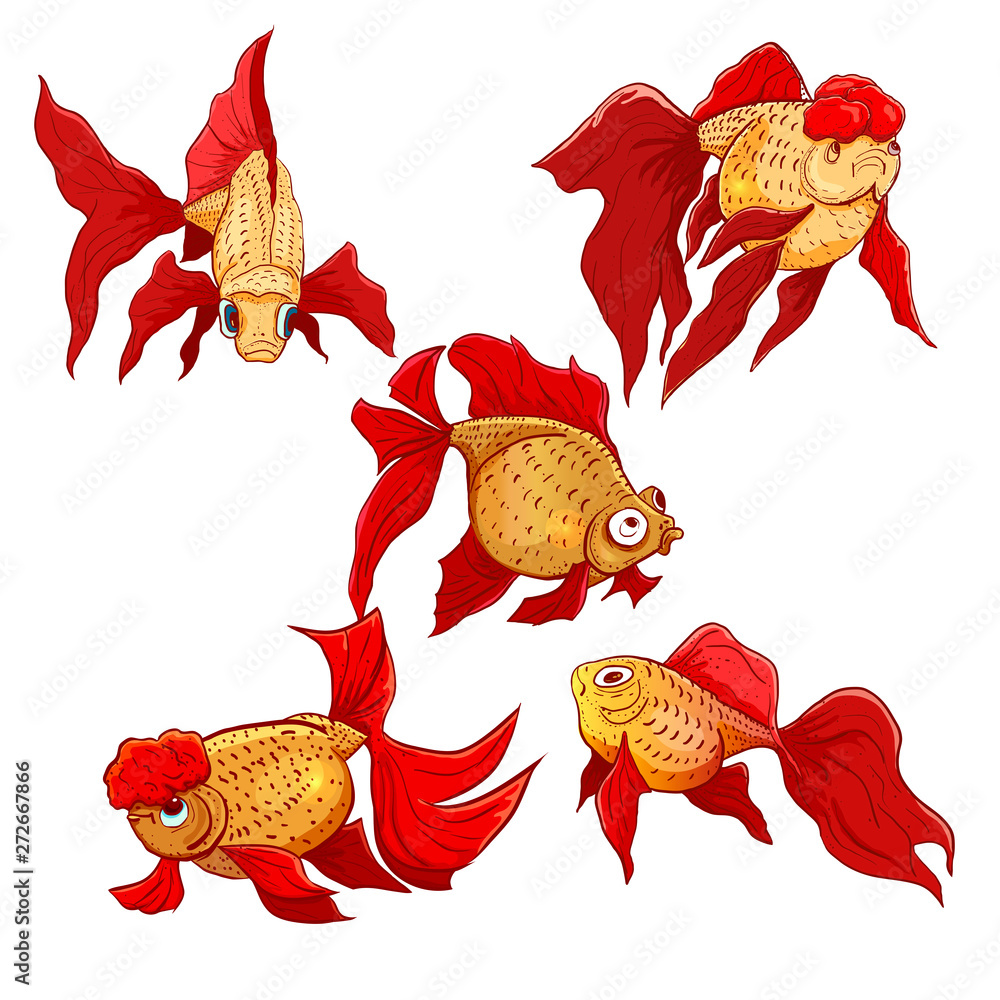 Vector Hand Drawn Set Of Goldfish Calico Goldfish Lionhead Goldfish