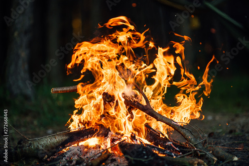 Bonfire in the summer forest on dark background, flames