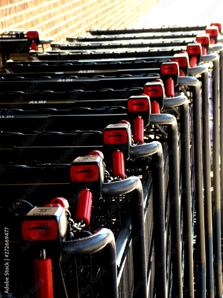 Fototapeta premium GROCERY CARTS IN A ROW