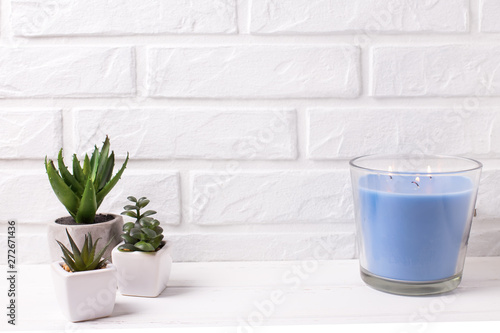 Various succulents and cactus plants in pots  and blue burning candle