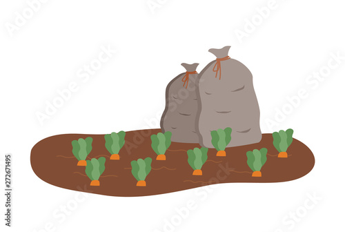 Carrots plantation vector, organic food growing in ground, isolated bags with ripe ingredients delicious meal with green leaves, harvesting season