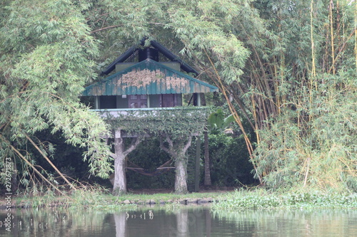 old wooden house in the forest