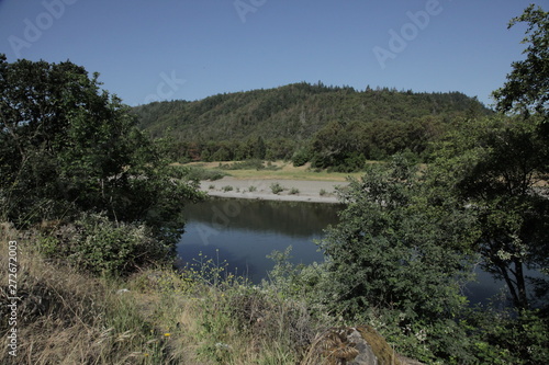 small pond by a lush hillside 