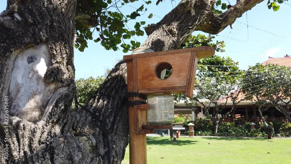 The bird feeder is made of wood and installed next to the tree. The bird feeder is made of wood and installed next to the tree.
