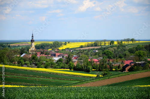 Obraz na płótnie Letni krajobraz - Śląsk, Polska w salonie