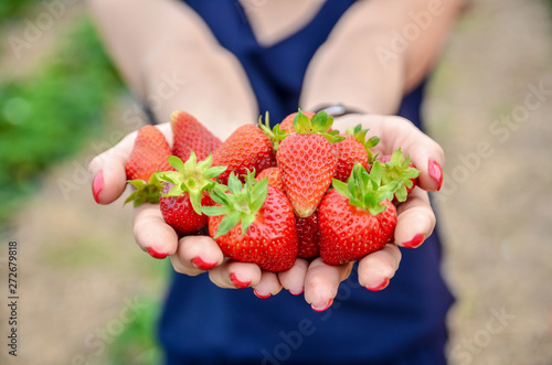 Holding sweet ripe juicy strawberries in hands