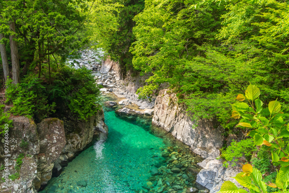 Fototapeta premium 阿寺渓谷 犬帰りの淵