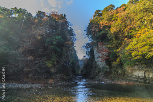 秋の養老渓谷の弘文洞跡の風景