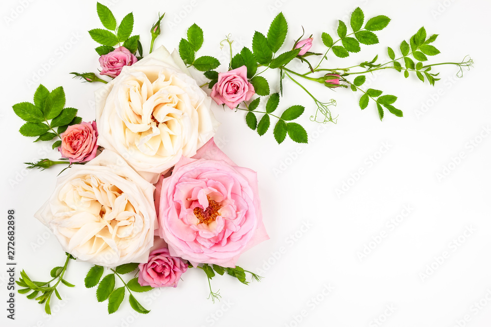 Beautiful white and pink roses flowers .