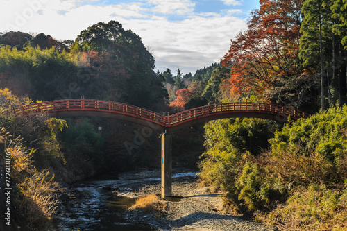  	秋の養老渓谷にかかる観音橋の風景