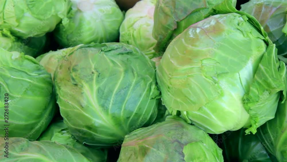 Head cabbage at street food Head cabbage at street food
