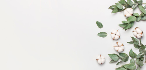 Flat lay flowers composition. Cotton flowers and fresh eucalyptus twigs on light gray background. Top view, copy space. Delicate white cotton flowers. Floral background, greeting card