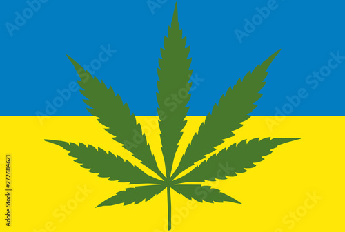 The concept of legalization of marijuana in Ukraine. A leaf of marijuana, cannabis on the background of the Ukrainian flag.