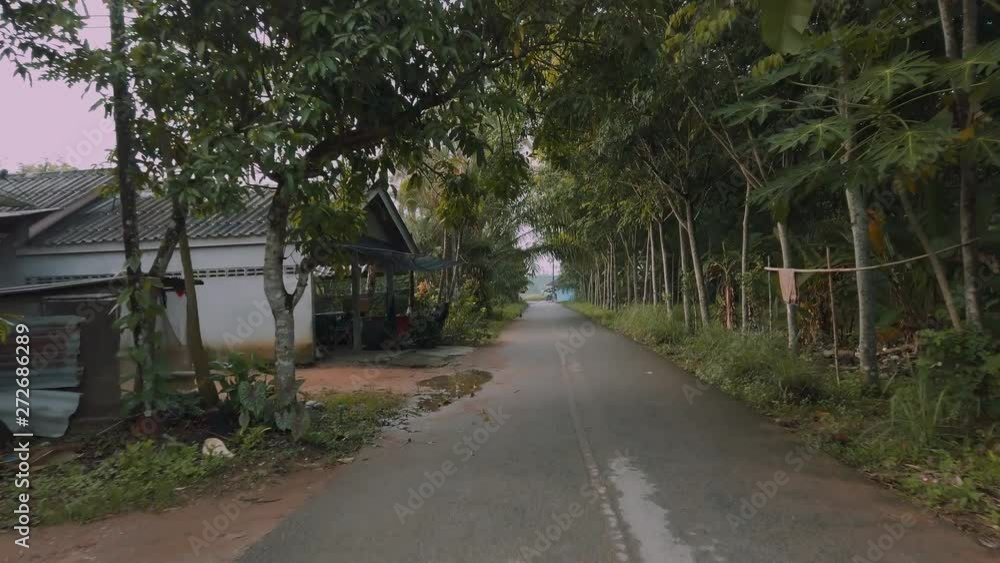 Moving through a lush jungle road at sunset. Moving through a lush jungle road at sunset.