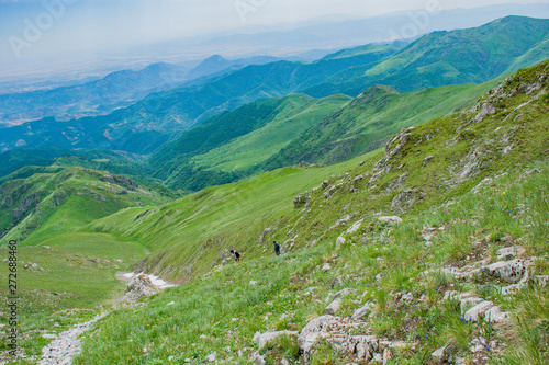 Wallpaper Mural my photos Torontodigital.ca