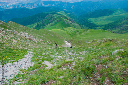 Wallpaper Mural my photos Torontodigital.ca