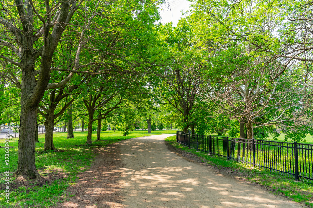 Shaded Green Path in Lincoln Park Chicago