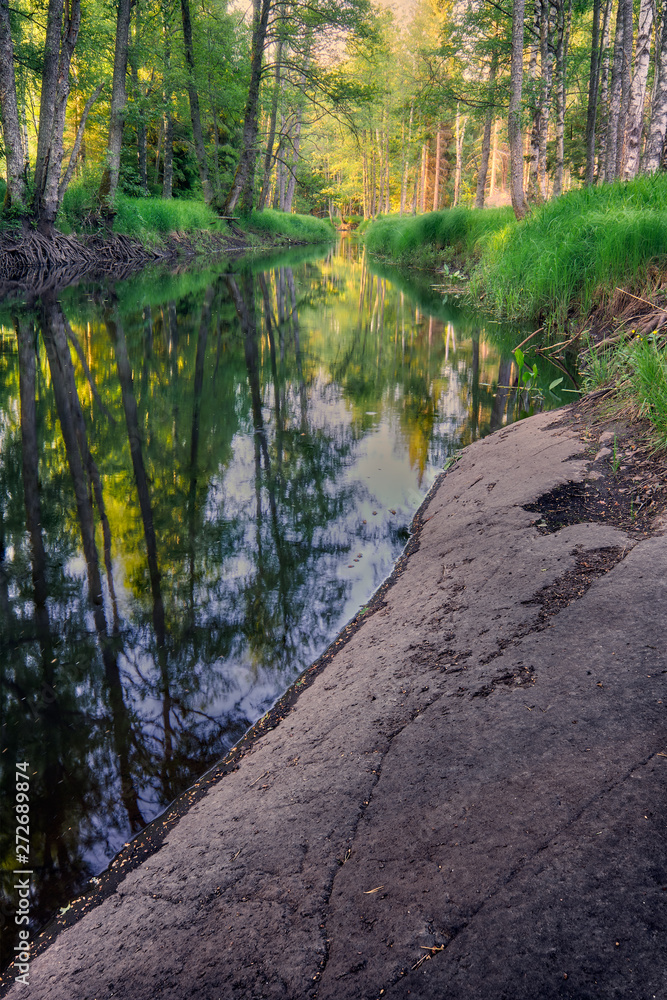 a river in the forest with a cliff to the right and forest around a river in the forest with a cliff to the right and forest around