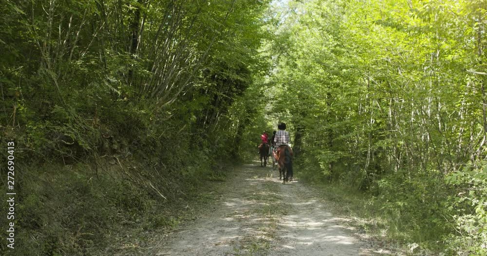 Four active people riding horses on a sunny outdoor wild forest field.Friends italian trip in Umbria.4k slow motion Four active people riding horses on a sunny outdoor wild forest field.Friends italian trip in Umbria.4k slow motion
