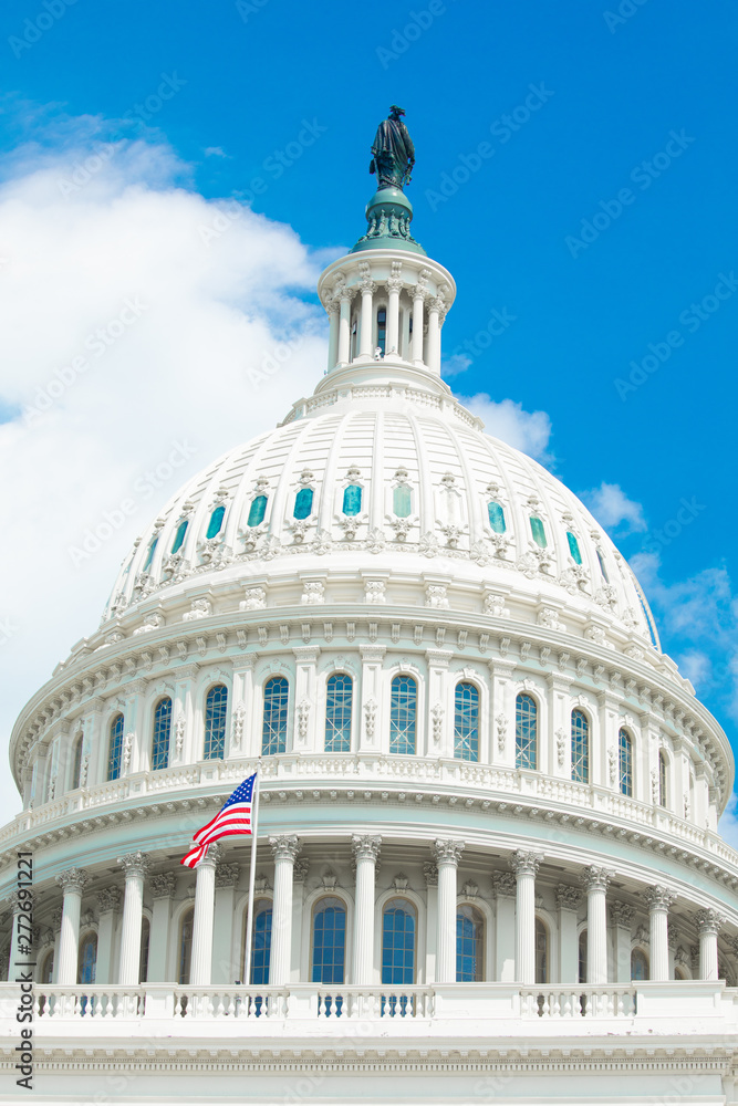 Fototapeta premium United States Capitol. Building in Washington, D.C. USA