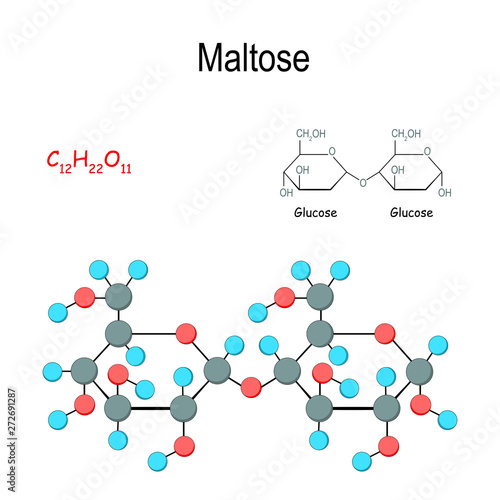 Maltose. Chemical structural formula and model of molecule