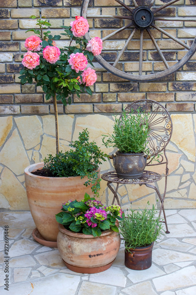 Naklejka premium beautiful place in the garden in the mediterranean style