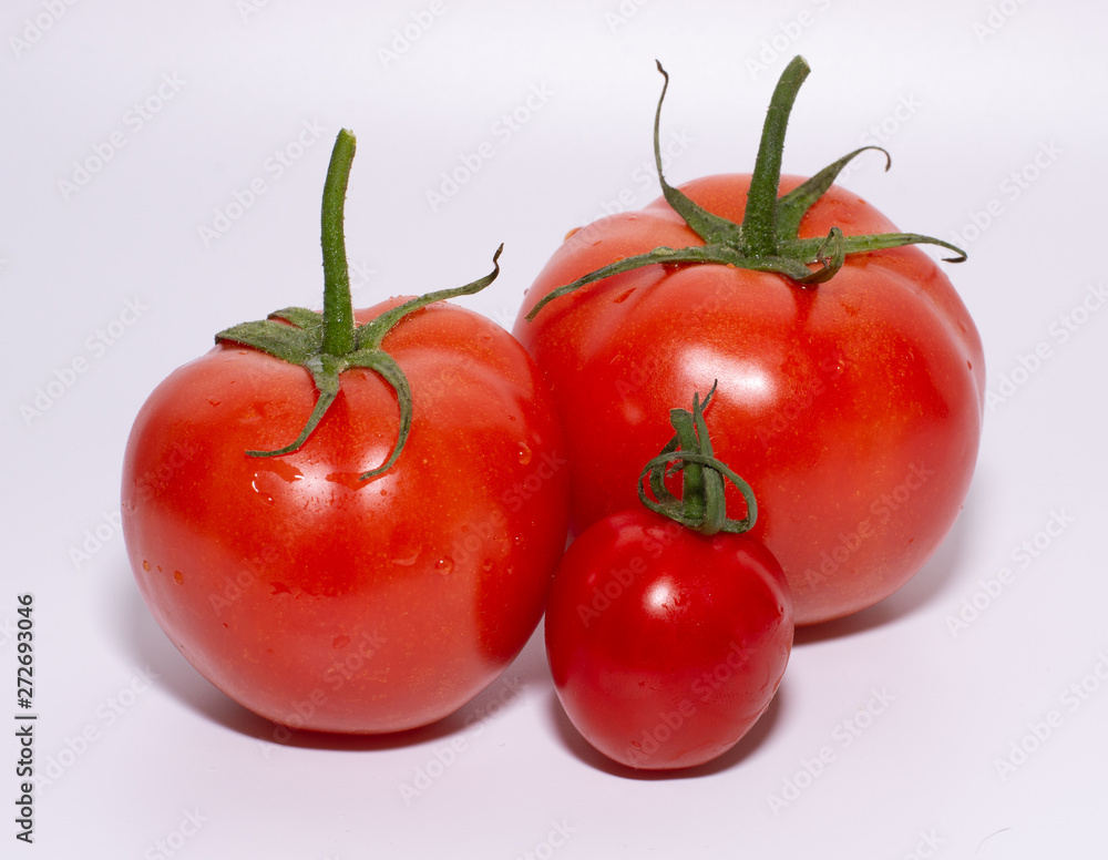 tomatoes isolated on white background tomatoes isolated on white background