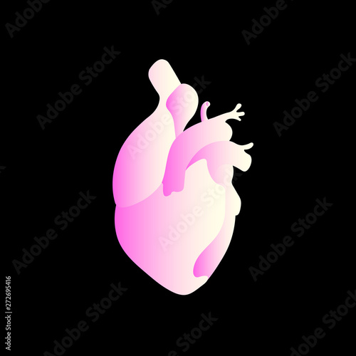 Anatomical heart. bright pink gradient on a dark background