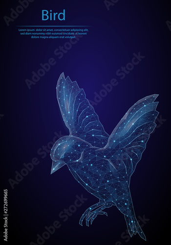 Abstract image Bird in the form of a starry sky or space, consisting of points, lines, and shapes in the form of planets, stars and the universe. Low poly vector background.