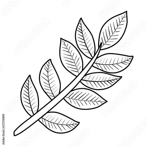 branch with leafs plants icon