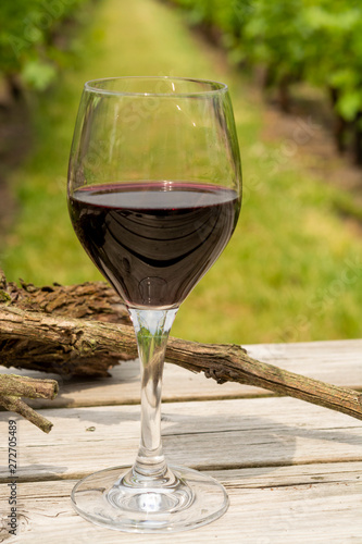 Tasting of red wine on Dutch vineyard in North Brabant