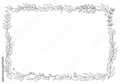 herbal mix vector frame in line style. Hand draw plants, branches and leaves on white background. Coloring frame
