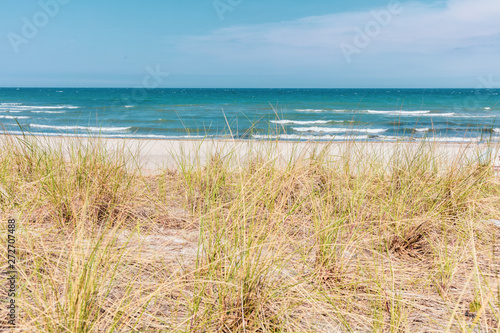 Fototapeta Naklejka Na Ścianę i Meble -  the view over the dune of the Baltic Sea in beautiful weather