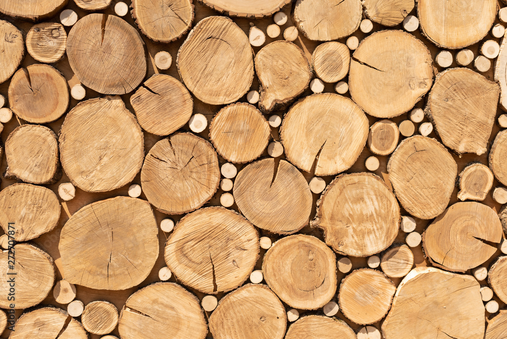 Saw cuts design texture. Tree stumps background. Log cuts close up. Stack of logs. close up Saw cuts design texture. Tree stumps background. Log cuts close up. Stack of logs. close up
