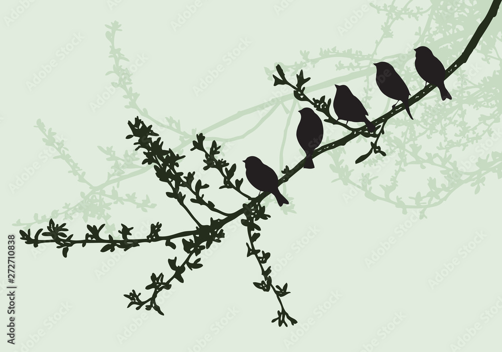 Obraz premium Silhouettes of birds sitting on a tree branch