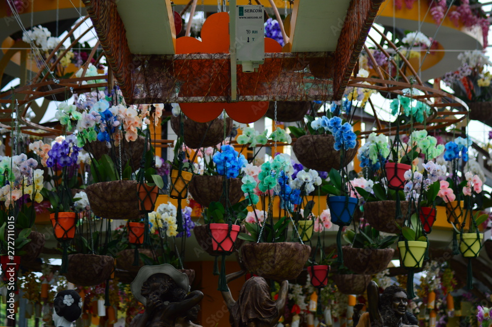 Fototapeta premium colorful flowers in pots