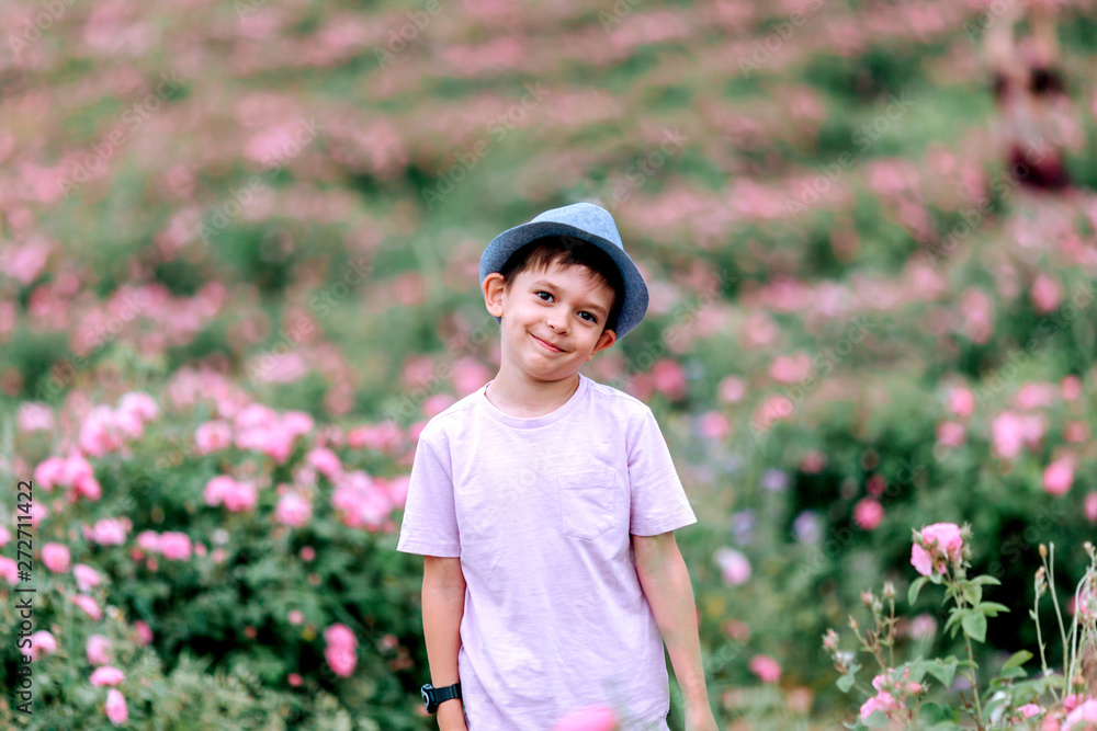 6-year-old boy in a pink T-shirt and turquoise shorts, wearing a hat walking across the field of blooming roses. 6-year-old boy in a pink T-shirt and turquoise shorts, wearing a hat walking across the field of blooming roses.