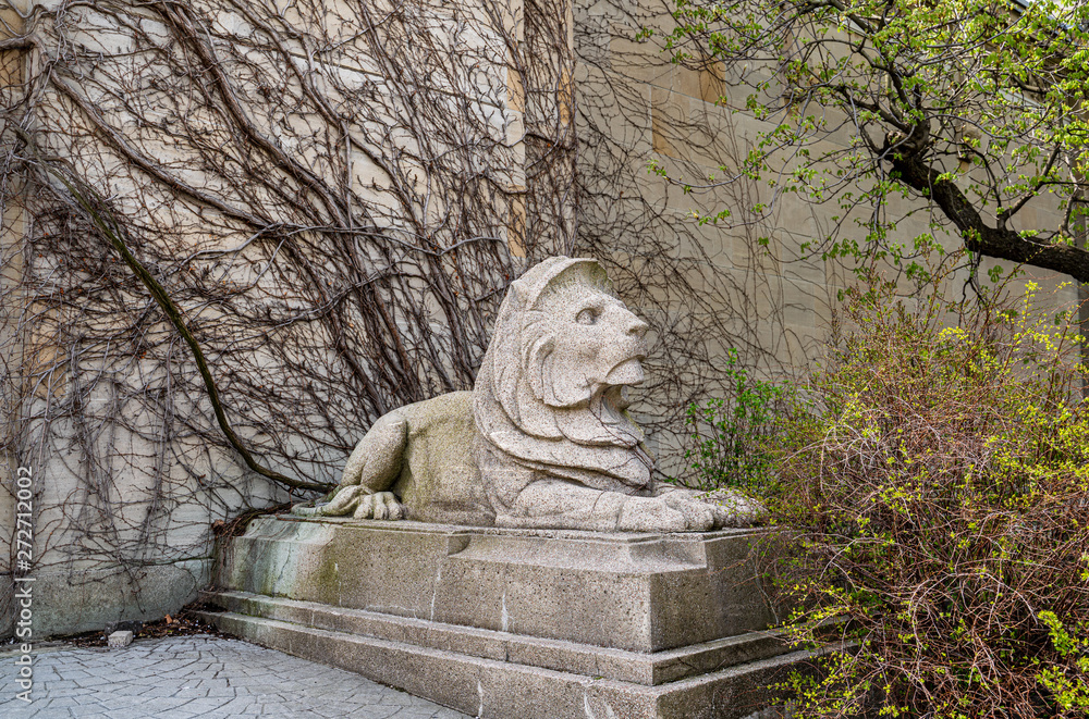 Lion statue near wall with branches 