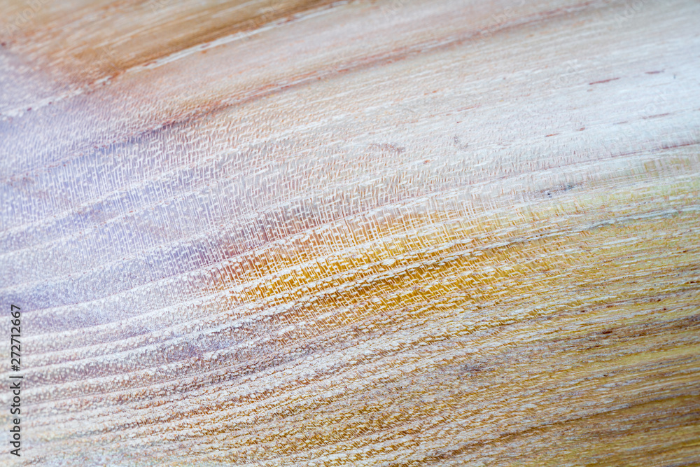 false acacia - robinia pseudoacacia wood texture background in macro ...