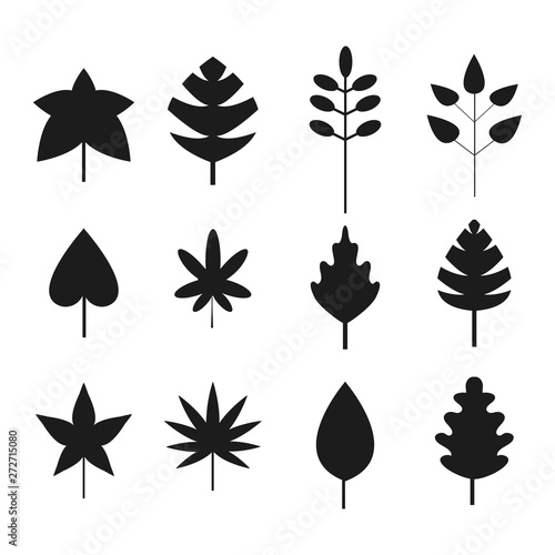 Set of silhouettes, simple black cartoon style different tree leaves. Icon isolated collection.