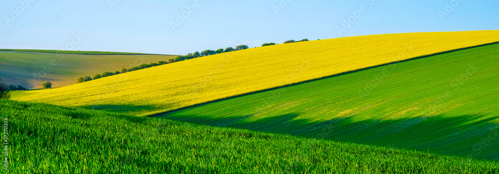 Fototapeta premium Sussex rolling hills with patterns and colours of crops growing in the big fields