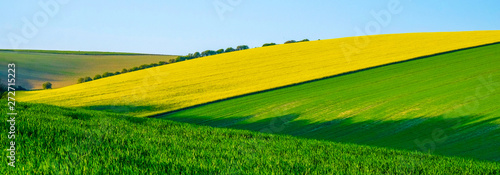 Sussex rolling hills with patterns and colours of crops growing in the big fields