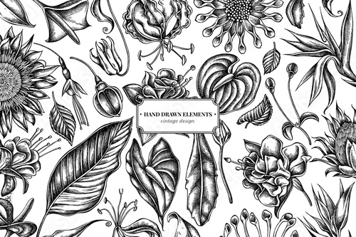 Floral design with black and white african daisies, fuchsia, gloriosa, king protea, anthurium, strelitzia