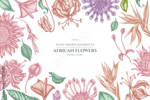 Floral design with pastel african daisies, fuchsia, gloriosa, king protea, anthurium, strelitzia
